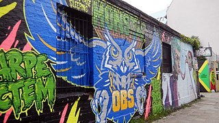 „Carpe Noctem“ ist das Motto der großen Nachteule neben dem Eingang des YAAM