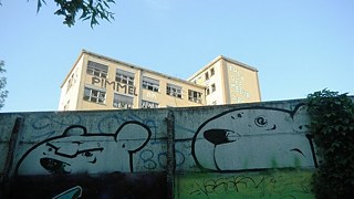 Eisbären und Obszönitäten