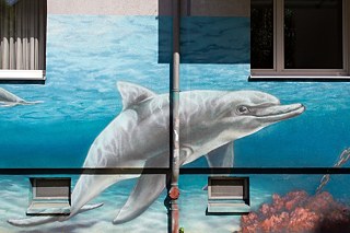 Brandvorwerkstraße: Delphin im blauen Meer
