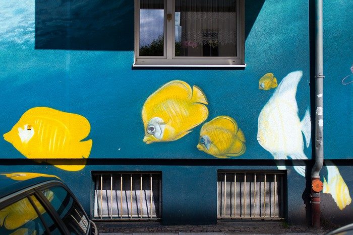 Brandvorwerkstraße: bunte Fische