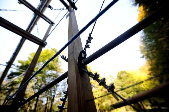 Transborder | Foto: Tomáš Tesař