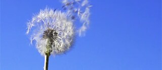 Filmkonzept, Dramaturgie, Produktion: Würth & Winderoll; Videos: shutterstock.com; Musik: Grizz Volga – "Luz Selenita" – provided by Jamendo