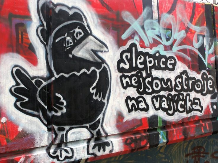 Hühner sind kein Werkzeug für Eier 