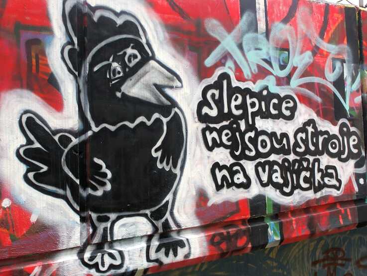 Slepice nejsou nástroj na vejce