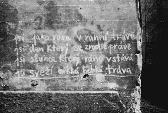 Zeď v roce 1977, s poselstvím lásky 