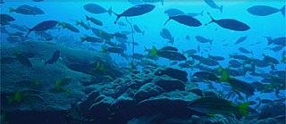 Filmkonzept, Dramaturgie, Produktion: Würth & Winderoll; Videos: shutterstock.com; Musik: Cinematic Most Beautiful Moving Touching Grand Piano – "Film Theme Soundtrack 001" (PremiumMusic, Instrumental Version) – provided by Jamendo