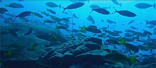 Filmkonzept, Dramaturgie, Produktion: Würth & Winderoll; Videos: shutterstock.com; Musik: Cinematic Most Beautiful Moving Touching Grand Piano – "Film Theme Soundtrack 001" (PremiumMusic, Instrumental Version) – provided by Jamendo