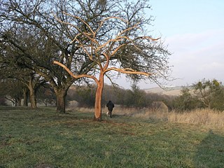 New Design © Archiv jinakrajina