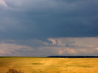 Neu gepflanzte Birnbaumallee (Weg) © Archiv jinakrajina