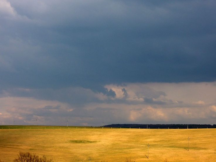 Neu gepflanzte Birnbaumallee (Weg) © Archiv jinakrajina