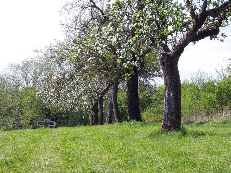 Der Kreuzweg © Archiv jinakrajina