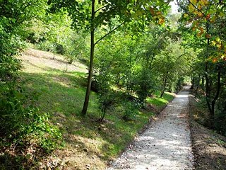 Erneuerung des Waldparks in Nový Lískovec 