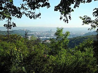 Erneuerung des Waldparks in Nový Lískovec 