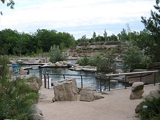 Tiergarten Nürnberg, Delfinlagune