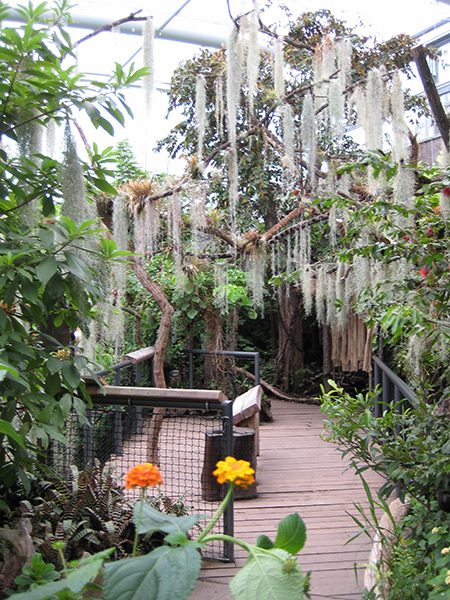 Tiergarten Nürnberg, Manatihaus