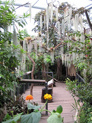 Tiergarten Nürnberg, Manatihaus