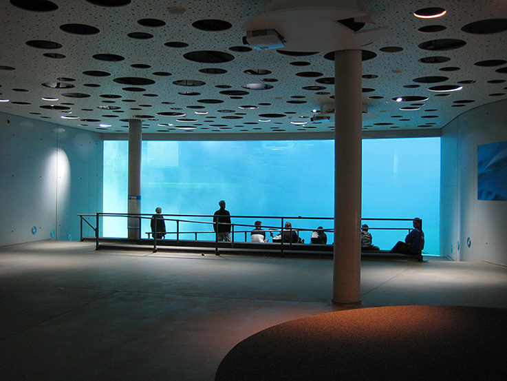 Tiergarten Nürnberg, Blauer Salon