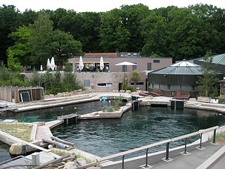 Tiergarten Nürnberg, Delfinlagune