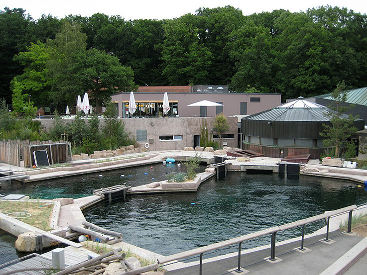Tiergarten Nürnberg, Delfinlagune