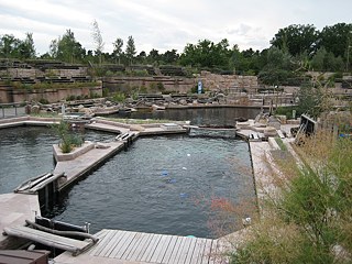 Tiergarten Nürnberg, Delfinlagune