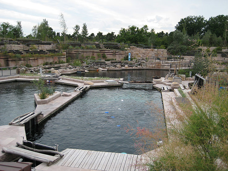 Tiergarten Nürnberg, Delfinlagune