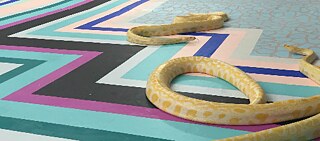 Culture Administration & Trembling, 2015. Photo by Stephen Thompson 