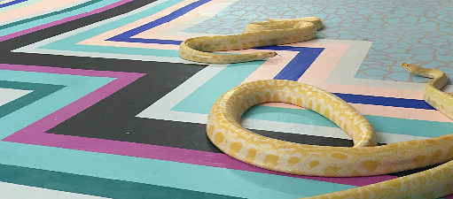 Culture Administration & Trembling, 2015. Photo by Stephen Thompson 