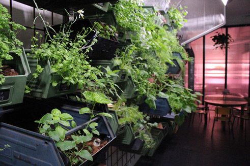 Der Firmensitz: ein Mix aus Forschungslabor, vertikaler Farm und Veranstaltungsraum.
