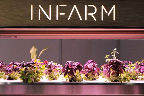 Indoor Farming soll die urbane Lebensmittelversorgung revolutionieren.