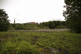 Kalarand Foto: Triin Pitsi © Goethe-Institut Tallinn