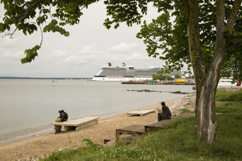 Kalarand Foto: Triin Pitsi © Goethe-Institut Tallinn