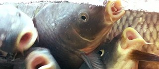 „Die Fehde“: Fototagebuch-1