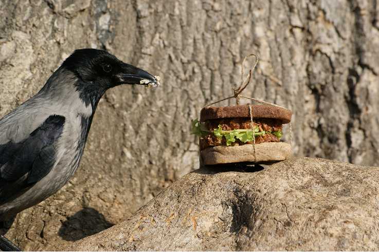 Mit dem Geschirr können zum Beispiel Vögel gefüttert werden.