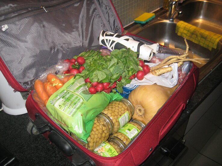 Jakob Hein Hausbesuch 6