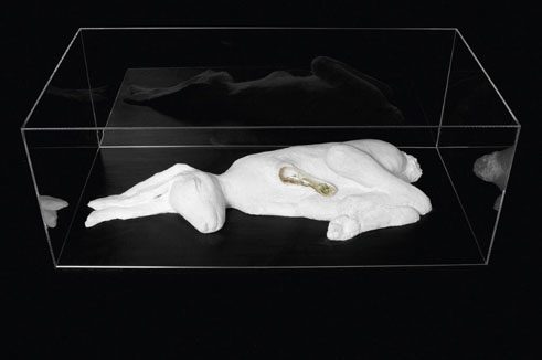 Helen Acosta, Claudia