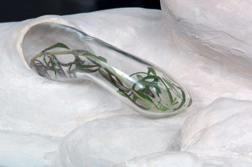 Helen Acosta, Claudia, Pfote