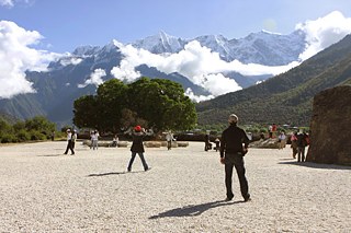 Touristen besichtigen den Maulbeerbaum.