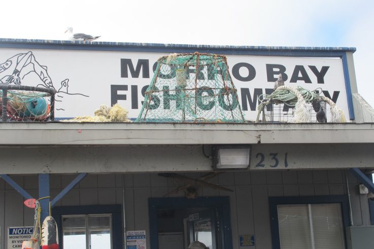 Morro Bay Fish Company u doku.