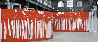 ACCA presents the first solo exhibition of Ulla von Brandenburg in Australia.