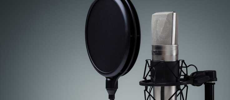 Germany is famous for the art of the radio play.