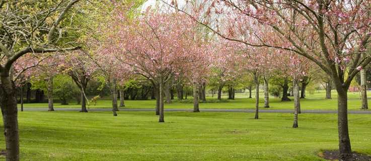 Irish National War Memorial Gardens