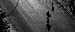 Walking in Halifax