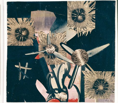 漢娜·霍克，《合成花朵》，1952，拼貼畫