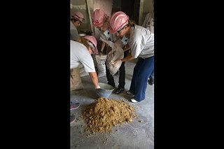 Alunas da oficina Cimento & Batom trabalham em reforma do Vila Flores.