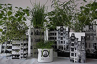 Stadt macht satt - bepflanzte Tetrapaks