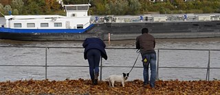Christina Kubisch: Rheinklänge; 2013. Passanten, die stehen bleiben, um den Geräuschen aus zwei Hydrophonen zu lauschen, die Unterwassertonaufnahmen von Schiffen auf dem Fluss live übertragen.