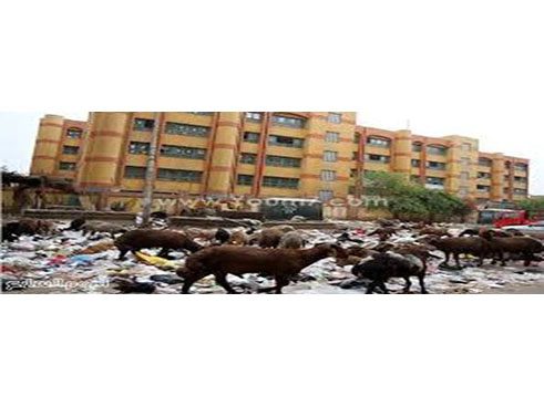 „Glaubst du mir“ - Mohamed Mahmoud Mostafa Hamad (vorher)