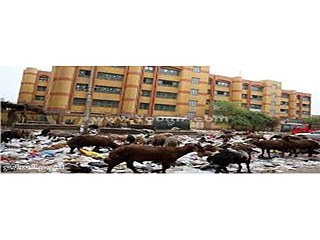 „Glaubst du mir“ - Mohamed Mahmoud Mostafa Hamad (vorher)