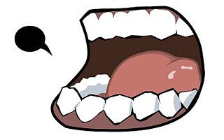  Die Deutsche Aussprache-App