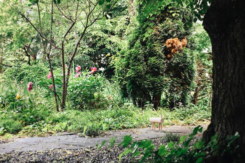 Friederike Daumiller, The Tea Garden